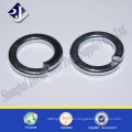 Wholesaler High Quality Spring Washer with Zinc